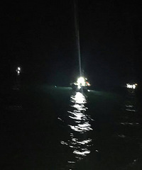 "大陈夜钓带鱼"