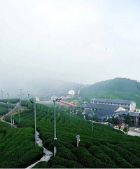 ̨���⼸��¶Ӫʤ�أ���ȥ��������