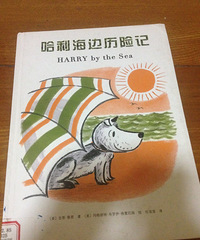 ���汾�����ڡ������������ռ�