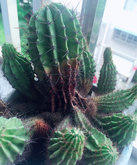 ˭˵��������������