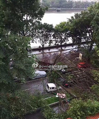 ̨����� �Ҽұ�������������