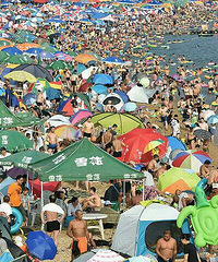 �ȣ������⺣̲������ʲô������