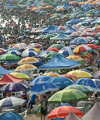 �ȣ������⺣̲������ʲô������