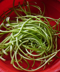 ������Ҷ������Ǭ�������Ǵ�ͳ����ʱ�˵�Ұ��