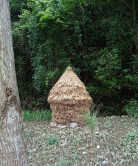 ��֪�����ܹ�����Ϣ������ġ�ͤ�ӡ���ʲôͤ