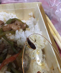 �㵱��Գ�Сǿ