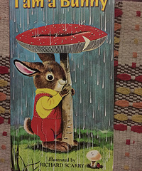 �汾�����ڡ�I am a bunny��