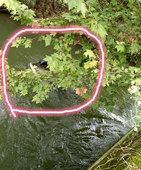 ���������ڻ���ɽͷ�������нγ�����������