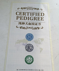 ��Ѫͳ��˫Ѫͳ ��ɶ��˼~~����������