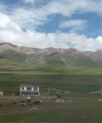 �����Լ���