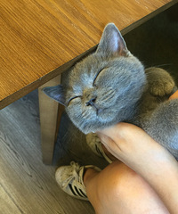 #����# è���ڴ�