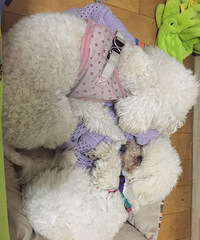 #����# �����ڴ�