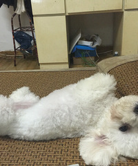 #����# �����ڴ�