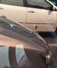 �ⳤ������һ������Ů�����