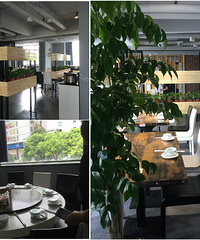 ������¯���ԳԷ��������ʣ���ζ�ֽ���