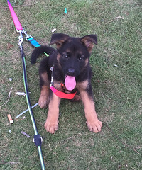 2���´󹫵���������������룬����������