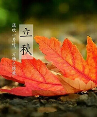 【8.7讲白搭话题】 立秋来了
