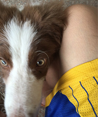 ��������