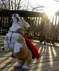 �»����ǿ»�