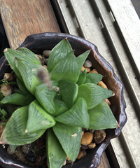 �ҼҵĶ��ⱦ��������