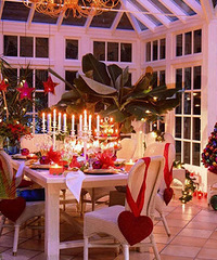 2016����Ϧ��ʲô��̨���ʺ�����Լ��Ĳ������Ƽ�Ӯ��Ԫ��ʳȯ