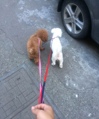 ���̫������ֻ�����ˡ����������������ˣ�