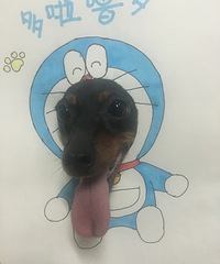 ���������ñ���á�����������