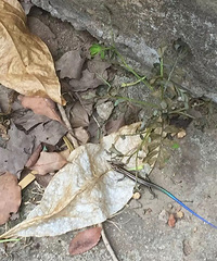 ��ʲô �ʺ�����