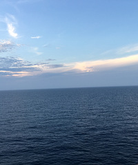 ����������֮�ã�С������С�˷ܣ�ĬĬ�������Ĳ��ұ�¶��