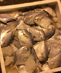 [����]����ˮ�������г��۸�һ��