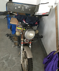 ���ֵ綯��