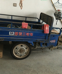 ���ֵ綯��