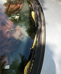 Ū�����۵���Ҷ����ɹ�������������