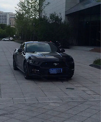 �������--Ұ��