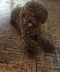 ���� ��·С�� Ѱ��·