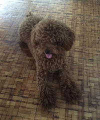 ���� ��·С�� Ѱ��·