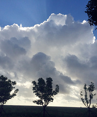 �������ģ��λض�����