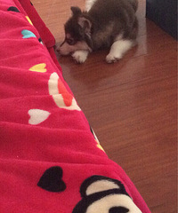 #����#�������ܵ���