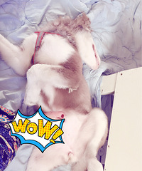 #����#�������ܵ���