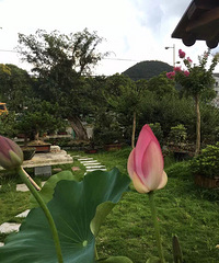 �ҼҵĻ��ݣ����һ��������