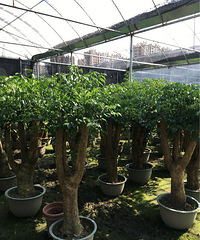 �ҼҵĻ��ݣ����һ��������