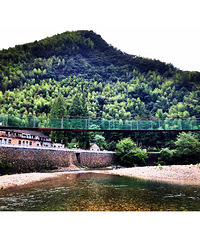 【温岭洞下+仙居白塔】像这样的天气就是漫山遍野的喜欢。