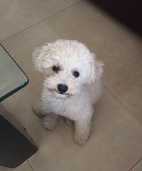 #����#+���ɶ