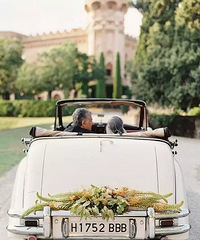 ��飬�鳵ǧ��������������....