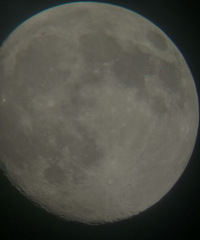 ���ֻ��ĵ�����