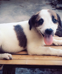 �����ߵ�������