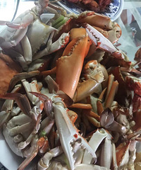 �����˼����Ҹ���