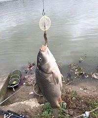 ���㻹�ô���