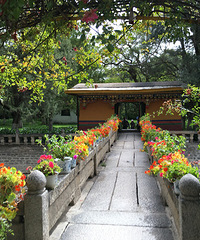 �о��񻭳���һ��