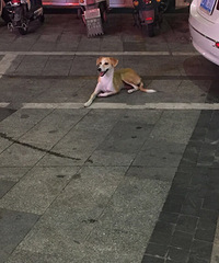 �ﹷ��Ѱ�����ˣ���